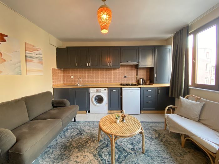 Classic Cozy 1+1 Home in Central Beyoğ