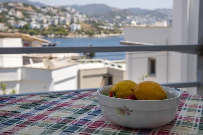 Cozy Duplex with Fascinating View in Yalikavak