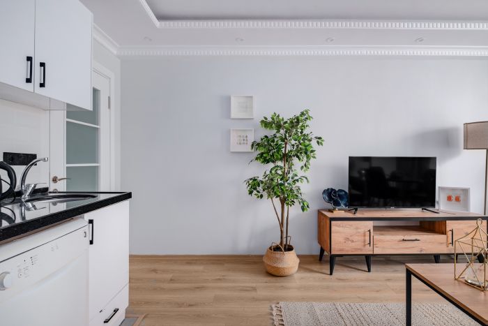 Stylish City Apartment | High-Speed WiF & Elevator
